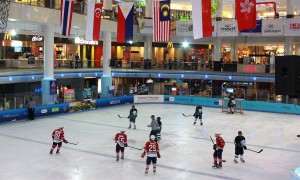 World Hockey Tournament